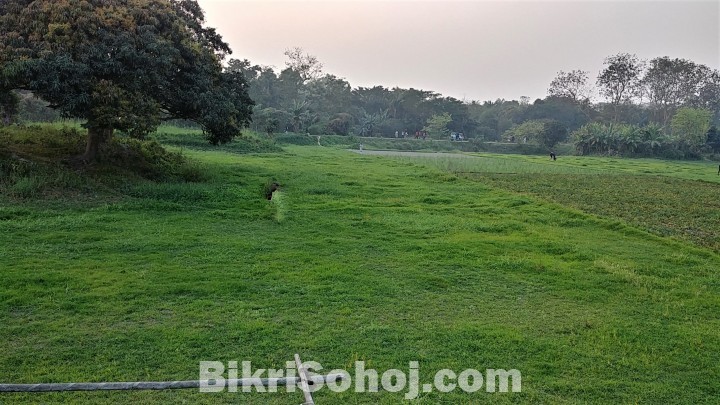 ১০৫ শতাংশ জমি বিক্রয়